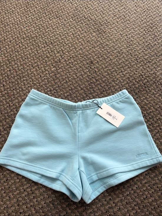 Aritzia Pants - Aritzia panorama blue sweatshorts